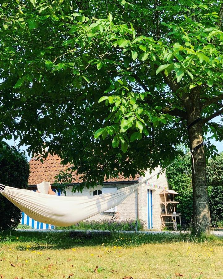 Hamiora Wellness B&B Deinze Eksteriør billede