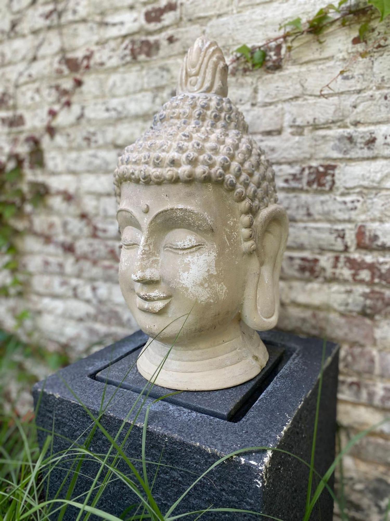 Hamiora Wellness B&B Deinze Eksteriør billede
