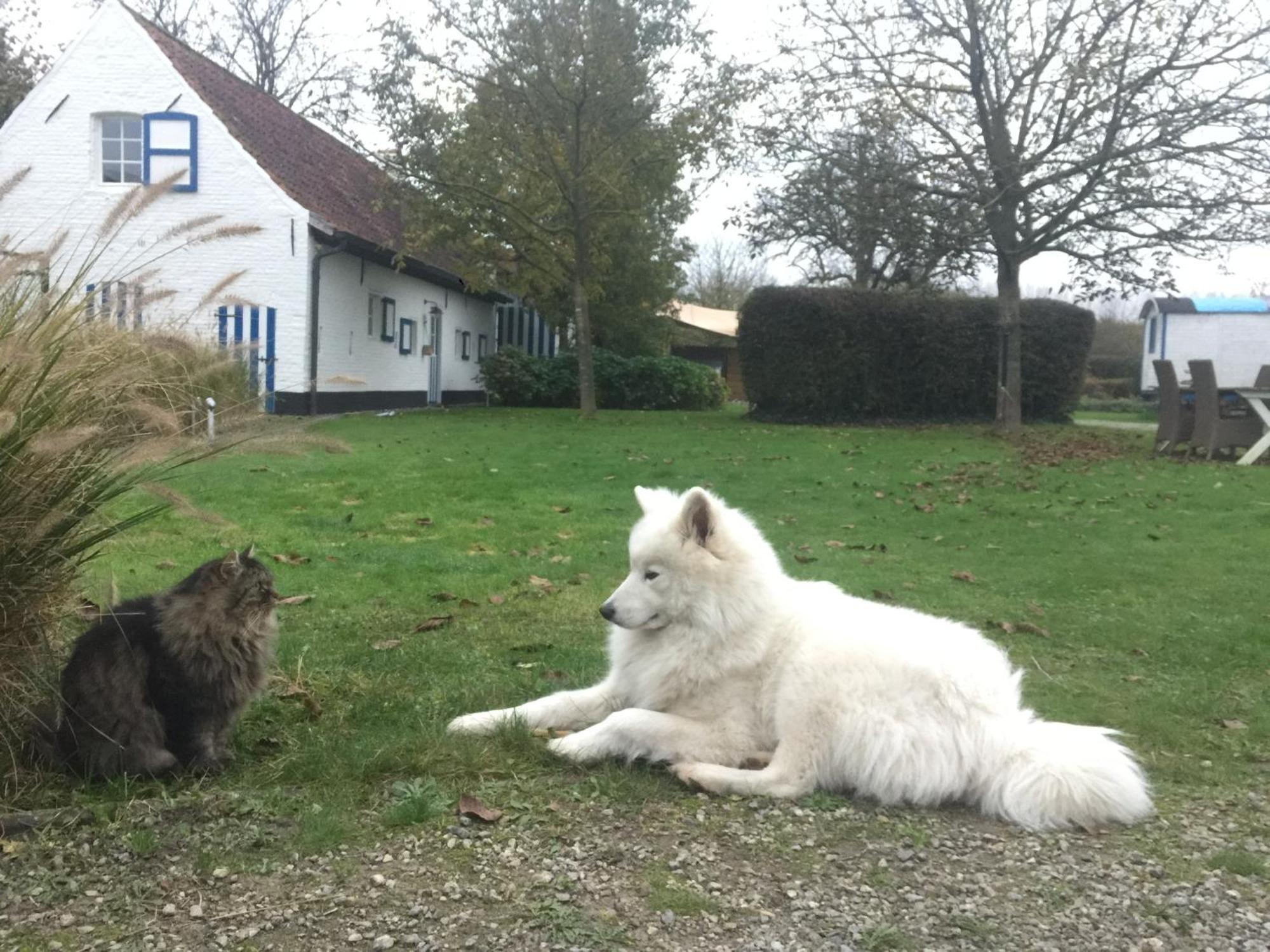 Hamiora Wellness B&B Deinze Eksteriør billede